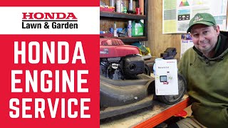 How to service a Honda engine amp change spark plug oil air filter fuel filter on GCV HRX lawnmower [upl. by Marilyn151]