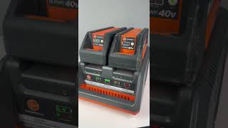 Hoover CH90002 Charger and CH90040 Batteries for Commercial Backpack Vacuum Listed on eBay [upl. by Merat]