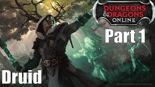 Dungeons amp Dragons Online  Druid  Part 1 Let’s Play [upl. by Anomahs]