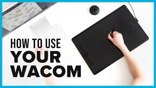 Wacom Tablet Tutorial amp Best Setup for Graphic Designers [upl. by Olaf]