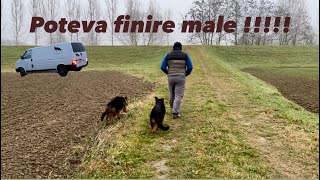 Capodanno🎇prima uscita dei cucciolirimaniamo piantati con il 🚐 germanshepherd pastoretedesco [upl. by Strawn]