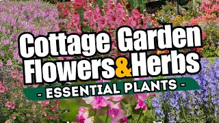 10 Traditional Flowers and Herbs for a Beautiful COTTAGE GARDEN 🌷  Essential Plants [upl. by Daren]