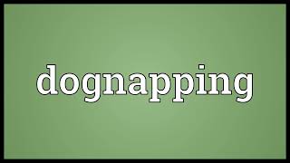 Dognapping meaning [upl. by Ehudd]