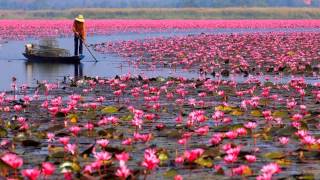 Snatam Kaur  Jap Man Sat Nam  Lotus Lake [upl. by Greenland]