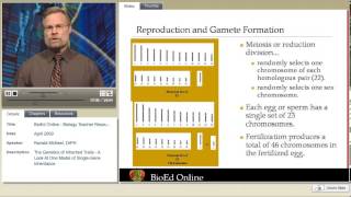 Introduction to Inherited Traits [upl. by Eromle]