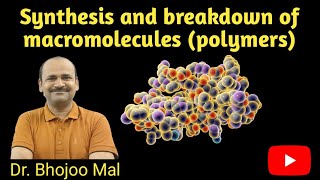 Synthesis and Breakdown of Macromolecules Class 11 Biology  by Dr Bhojoo Mal [upl. by Ariet485]