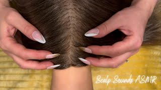 ASMR Upclose Scalp Sounds amp Hair Triggers  Hair Brushing Scratching Parting Attention Jade Comb [upl. by Hcahsem672]