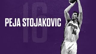 Peja Stojaković  In the zone Career mix [upl. by Talley375]