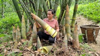 Harvesting Giant Bamboo Shoots  Preservation Process  Lý Thị Ca [upl. by Araz]