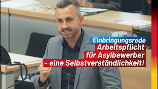 Arbeitspflicht für Asylbewerber jetzt  eigentlich eine Selbstverständlichkeit [upl. by Carrissa]