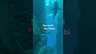 Sea world Abu dhabi abudhabi seaworld shortvideo [upl. by Illa587]