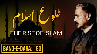 BaangeDara 163  TulueIslam  THE RISE OF ISLAM  Allama Iqbal  Iqbaliyat  Mukammalbaat [upl. by Ahse]