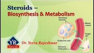 Steroids  Biosynthesis amp Metabolism  Biosynthesis and Metabolism of Steroids  YR Pharma Tube [upl. by Esdras]