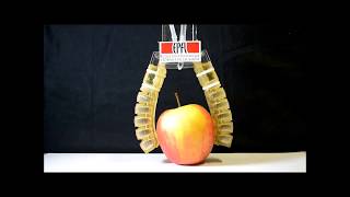 Soft Pneumatic Gelatin Actuator for Edible Robotics [upl. by Egon693]