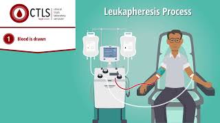 A Quick Look at Leukapheresis White Blood Cell Donation [upl. by Kosse]