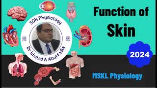 Function of Skin Skin Physiology 12024 by Dr Khaled A Abulfadle [upl. by Iggam930]