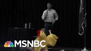 Man In A Chicken Suit Among Voters At Rowdy Jeff Flake Town Hall  The 11th Hour  MSNBC [upl. by Auqenahc]