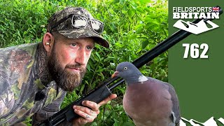 Fieldsports Britain – Pigeon shooting on the quiet [upl. by Pierrette]