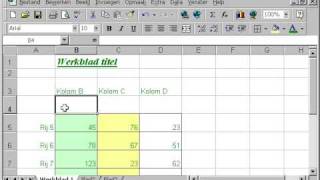 EXCEL Les 14 kolommen en rijen aanpassen [upl. by Notsuh]