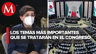 ¿Qué temas se tratarán en las sesiones de la Cámara de Diputados y Senadores [upl. by Origra]