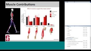 Using OpenSim to explore the mechanics of pathological gait patterns [upl. by Tirza]