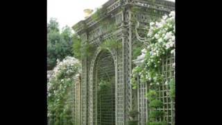 The Palace of VERSAILLES Gardens and fountains Summer 2009 [upl. by Nilla]