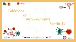 Tolérance Et AutoImmunité Partie 2 Tolérance Périphérique Des LT [upl. by Karame]