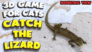 3D game for cats  CATCH THE LIZARD isometric view  4K 60 fps stereo sound [upl. by Lampert912]