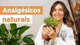 Como aliviar a dor com ANALGÉSICOS NATURAIS [upl. by Lagiba]