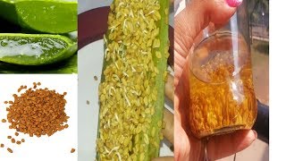 How to Make Methi oil at Home DIY Fenugreek Hair Oil Homemade Methi Oil Aloe Oil for Hair Growth [upl. by Sommer]