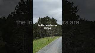 Irish travellers are coming irish travellers nz newzealand [upl. by Nitsrik634]