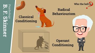 Classical Conditioning Experiment  AP Psychology [upl. by Edgar]