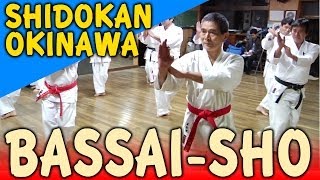 Koryu Passai BASSAI SHO  OKINAWA KARATE [upl. by Nnylylloh]