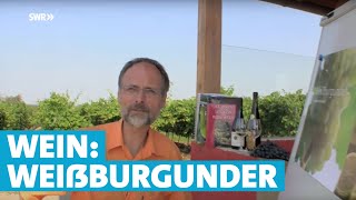 Werner erklärt Wein Weißburgunder [upl. by Anders]