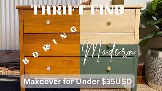 THRIFTED Furniture Makeover  DIY  BORING to ✨STYLISH ✨ [upl. by Down663]