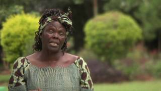 Wangari Maathai amp The Green Belt Movement [upl. by Lienad]