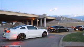 Crazy Loud 50 Mustang Revs [upl. by Tamanaha]