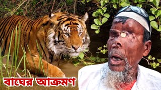 বাঘের সাথে ভয়ঙ্কর লড়াই করে বেঁচে ফেরার লোমহর্ষক ঘটনা । Sundarban Tiger Attacks । বাঘে মানুষে লড়াই [upl. by Maziar]