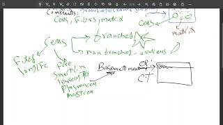 Connective tissue properties and cells [upl. by Glavin490]