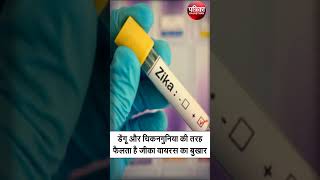 Zika Virus Dengue और Chikungunya की तरह फैलता है Zika Virus का बुखार  जीका वायरस zikavirus [upl. by Htebi]