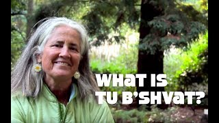 What is Tu Bshevat The Jewish Tree Holiday [upl. by Ellennahc]