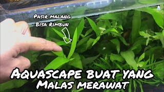 PAKAI INI ‼️ Aquascape Pasir Malang Tetap Geeeeeeeeer [upl. by Artemis]