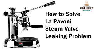 How to Solve La Pavoni OPV Steam Valve Leaking Problem For Europiccola  Professional Models [upl. by Ecyac]