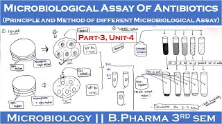 Microbiological assay of antibiotics  Principle and method of different microbiological assay  P3 [upl. by Torre804]