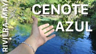 CENOTE AZUL QUINTANA ROO [upl. by Dorie]