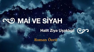 MAİ VE SİYAH ROMAN ÖZETİ [upl. by Goldin696]