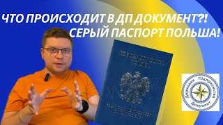 Что происходит в ДП документ Как сделать Серый паспорт в ПОЛЬШЕ [upl. by Woodman]