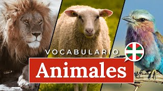 Aprender euskera  Primeras palabras ANIMALES [upl. by Leak]