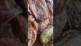 kuih viral kelantan comedymovies automobile duetsong foodvideos food viralfood cooking new [upl. by Reinar]