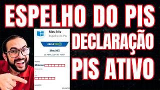 ESPELHO DO PIS ATIVO  DECLARAÇÃO DO PIS ATIVO  CADASTRO DO NIS  GERAR ESSE DOCUMENTO NA INTERNET [upl. by Eniwtna919]